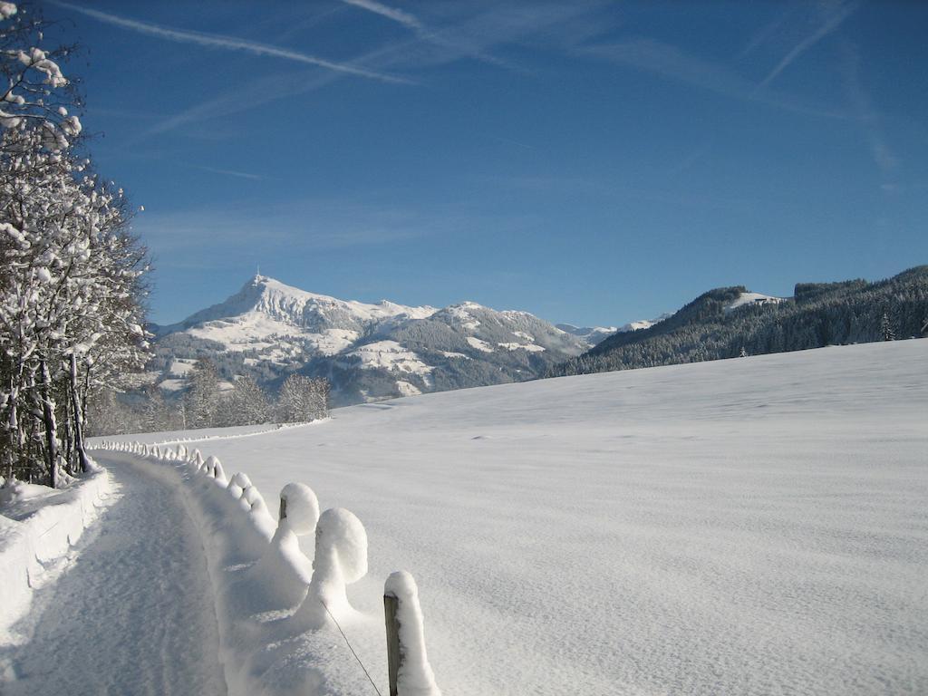 Hotel Alpenresidenz Adler Kirchberg in Tirol Esterno foto